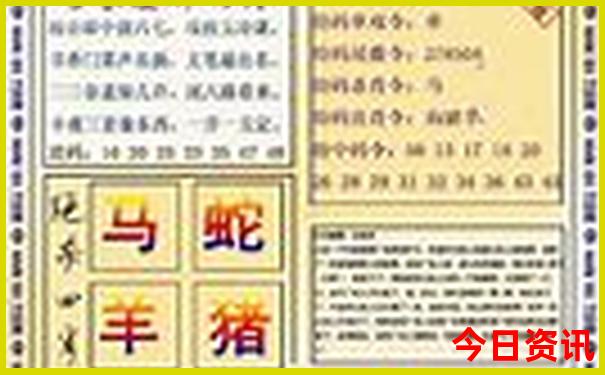 大亚湾好玩的地方和景点